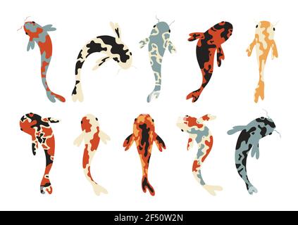 Set di carpe koi. Koi pesce giapponese. Illustrazione Vettoriale