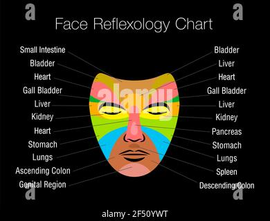 Grafico di riflessologia facciale con aree colorate e nomi degli organi interni corrispondenti. Maschera colorata per massaggio zona su sfondo nero. Foto Stock