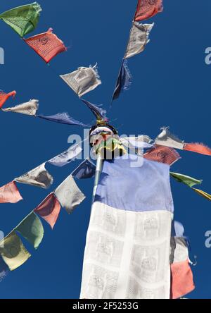 Bandiere di preghiera tibetane in Nepal Foto Stock