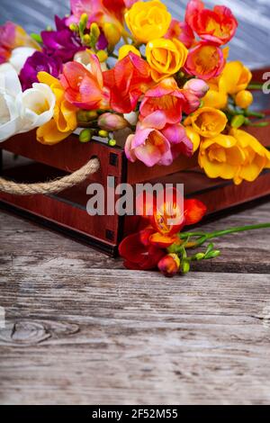 Freesia multicolore in una scatola su un vecchio sfondo di legno. Bellissimi fiori. Foto Stock