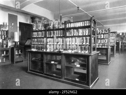 Società Go & Co. AG, Action building Leipziger Straße 7/13. Raccolta di farmaci. Riproduzione mediante fotografia. Fig. Pagina 101 in: 100 anni go. Storia della società Go & Co., A.G., Dresda 1835/1935. Dresda: W. Lupert, 1935. Dresda: Slb 34.4.1589 Foto Stock