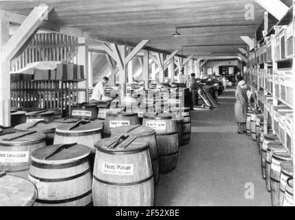 Società Go & Co. AG, Action building Leipziger Straße 7/13. Parte del reparto di conservazione dei farmaci. Riproduzione mediante fotografia. Fig. Pagina 83 in: 100 anni go. Storia della società Go & Co., A.G., Dresda 1835/1935. Dresda: W. Lupert, 1935. Dresda: Slb 34.4.1589 Foto Stock