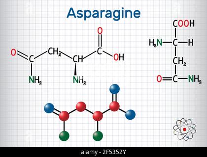 Molecola aminoacidica di asparagina (L-asparagina, Asn, N). È usato nella biosintesi delle proteine. Foglio di carta in gabbia. Sostanza chimica strutturale Illustrazione Vettoriale