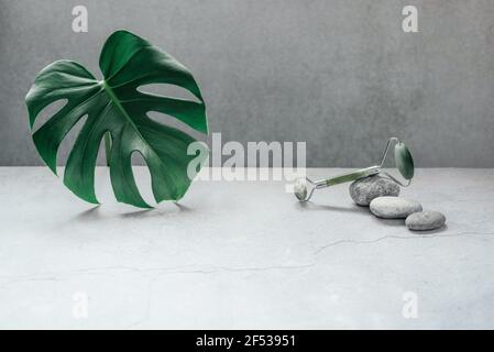 Rullo di massaggio cinese tradizionale guasha di giada utilizzato per il massaggio del viso su sfondo grigio con foglie di monstera, SPA relax, viso e pelle di fondo Foto Stock