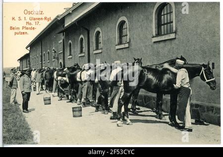 1. Reggimento reale sassone Ulana n° 17 - nel collo del cavallo Oschatz..k.s. 1.Ulana stimola. N. 17 - a cavallo Foto Stock