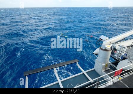 4 notti - escursione con le balene a base di Minke Fly Dive - mattina presto sull'ancora vicino al faro di Bommie, Grande barriera Corallina Foto Stock