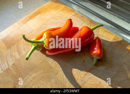 Peperoncini ungheresi in cera calda (rossi) su un tagliere di legno. REGNO UNITO Foto Stock