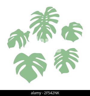 Minimo set di foglie di Monstera. Isolato su sfondo bianco Illustrazione Vettoriale