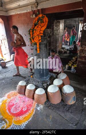 Bhubaneswar, India - 2021 febbraio: Gli uomini preparano il cibo al tempio di Ananta Vasudeva l'8 febbraio 2021 a Bhubaneswar, Odisha, India. Foto Stock