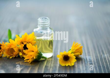 Flacone di olio essenziale di calendula pianta medicinale, Calendula officinalis Foto Stock