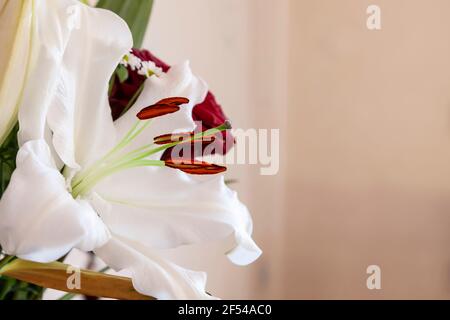 Un bouquet di compleanno di White Lillies e Red Roses per una donna speciale, Nothampton, Inghilterra, Regno Unito. Foto Stock