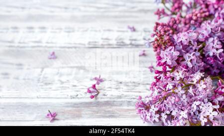 Lilla viola rami di primavera di lilla fiore festivo bouquet di fiori. Banner Web lungo con spazio per la copia. Rametto lilla viola sul tavolo, ancora floreale Foto Stock