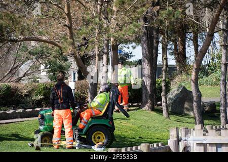 Fishguard, Pembrokeshire, regno unito .24 marzo 2021. I lavoratori nelle loro giacche ad alta visibilità cavalcano sui taglierini d'erba come più visitatori arrivano, Pembrokeshire County Council quindi ha un difficile da raggiungere un equilibrio come alcuni tagli è essenziale per scopi di sicurezza, ma è molto ansioso di vedere la fauna selvatica al prosperare ovunque possibile. . Credit: Debra Angel/Alamy Live News Foto Stock