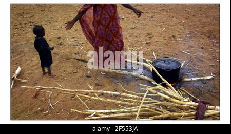 CRISI DELLA FAME IN MAURITANIA Vedi storia McCarthy Il villaggio di Glaibatt Nour, colpito dalla fame, nella siccità aftout Regione della Mauritania fotografia di David Sandison Foto Stock