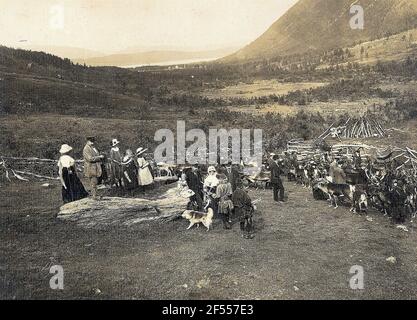 Norvegia. Foto di gruppo con turisti Hapag in un campo di semi con mandria di renne Foto Stock