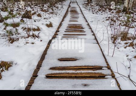 Percorso lungo la passerella coperta di neve attraverso l'area delle paludi Foto Stock