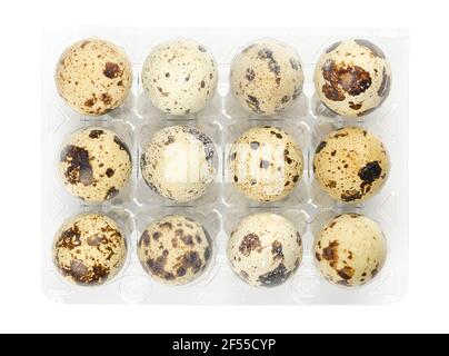 Gruppo di dodici uova di quaglia fresche in un cartone di plastica, dall'alto, isolato su fondo bianco. Macchiate, uova intere di quaglia comune, Coturnix. Foto Stock