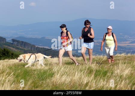 Tre donne che camminano con un cane, godendo di viaggio in estate Foto Stock