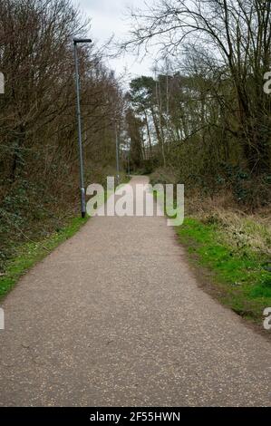 Un sentiero che conduce attraverso un mezzo di una foresta in Norfolk con illuminazione stradale Foto Stock