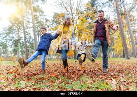 La famiglia tiene le mani mentre calcia foglia caduta a foresta Foto Stock