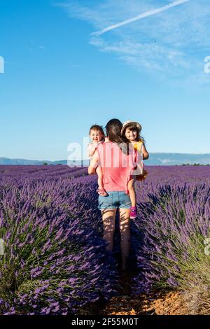 Madre che trasporta due figlie del bambino in vasto campo di lavanda durante estate Foto Stock