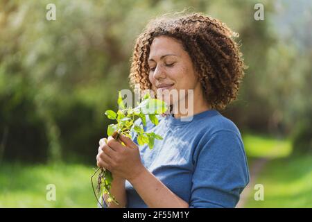 Donna dai capelli ricci che annodava foglie di menta in giardino Foto Stock