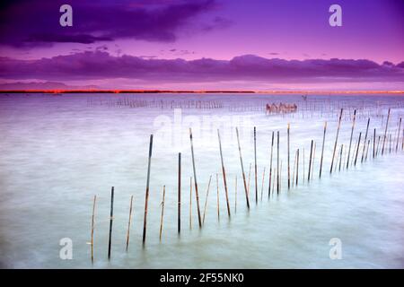 Spagna, Valencia, Albufera, tramonto panoramico sul mare Foto Stock