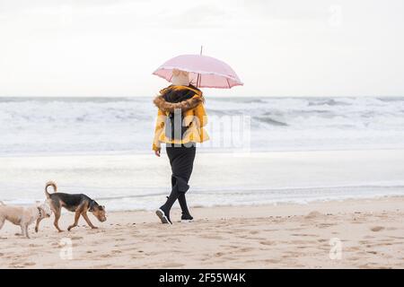 Giovane donna con ombrello che cammina con due cani lungo la sabbia spiaggia costiera Foto Stock