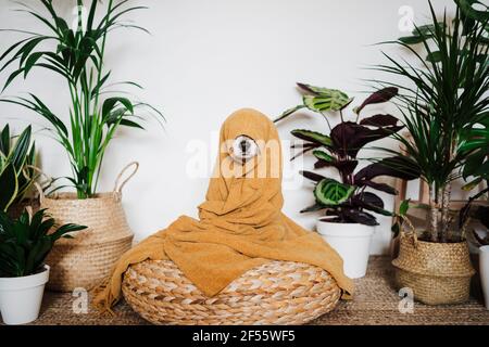 Cane giocoso avvolto in coperta seduta su sgabello ottomano vicino houseplant a casa Foto Stock