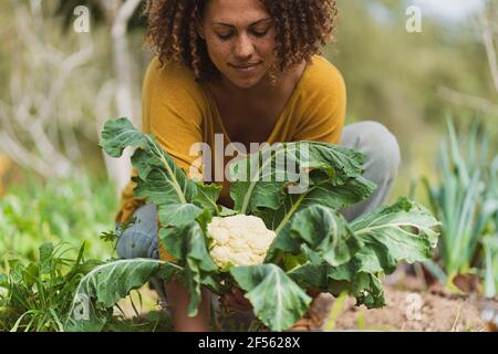 Donna con cavolfiore di raccolta in orto
