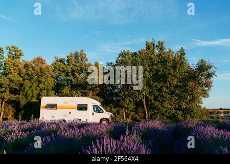 Casa a motore parcheggiata sul bordo del campo di lavanda in estate Foto Stock