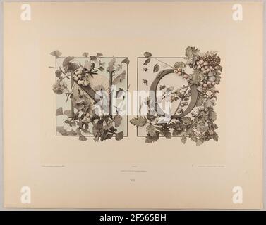 XIII. Iniziale n o con compartimenti e ginkgo - mandrino, rowan e frutta. Stato piano Amburgo, raccolta della storia della fotografia Foto Stock