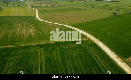 Strada sterrata tra campi verdi visti dall'alto Foto Stock