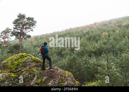 Escursionista maschile ammirando la foresta circostante dalla cima di un grande masso Foto Stock