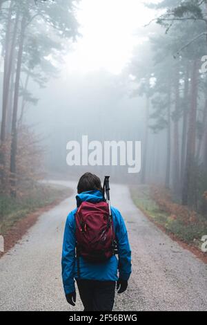 Uomini zaino in spalla escursioni lungo strada asfaltata taglio attraverso nebbia autunno foresta Foto Stock