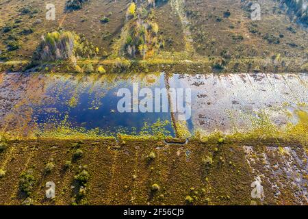 Germania, Baviera, Konigsdorf, veduta aerea della zona umida Foto Stock