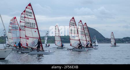 I gommoni che competono nella Regata annuale dello Yacht Club di East Lothian, North Berwick Foto Stock