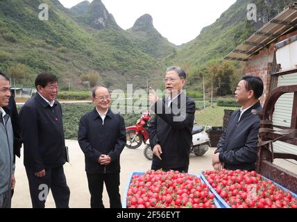Nanning, regione autonoma di Guangxi Zhuang in Cina. 21 Mar 2021. Zhao Leji, membro del Comitato permanente dell'Ufficio politico del Partito Comunista Cinese (CPC) Comitato Centrale e Segretario della Commissione Centrale per l'ispezione della disciplina del CPC, visita il Villaggio Lumei nel distretto di Tianyang della Città di Baise, nella Regione Autonoma di Guangxi Zhuang, nella Cina meridionale, il 21 marzo 2021. Zhao ha fatto un tour di ispezione nella regione autonoma di Guangxi Zhuang della Cina meridionale dal 21 al 24 marzo. Credit: Ding Lin/Xinhua/Alamy Live News Foto Stock