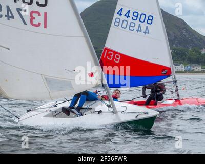 I gommoni che competono nella Regata annuale dello Yacht Club di East Lothian, North Berwick Foto Stock