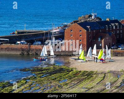 I gommoni a vela e il porto, a nord di Berwick, presi dalla torre della chiesa di St Andrew Blackadder Foto Stock