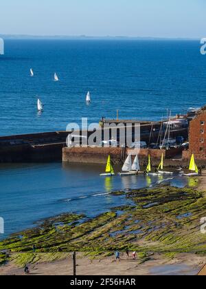 I gommoni a vela e il porto, a nord di Berwick, presi dalla torre della chiesa di St Andrew Blackadder Foto Stock