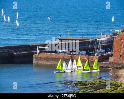 I gommoni a vela e il porto, a nord di Berwick, presi dalla torre della chiesa di St Andrew Blackadder Foto Stock