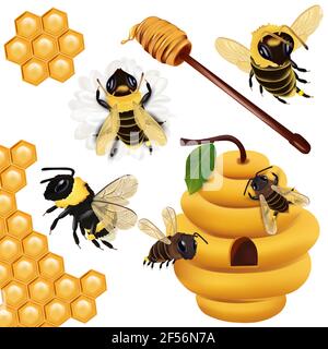 Set miele ape, vespe, bumblebee, nido d'ape, alveare, cucchiaia di miele con miele su sfondo bianco. Icona vettore 3d. Illustrazione Vettoriale