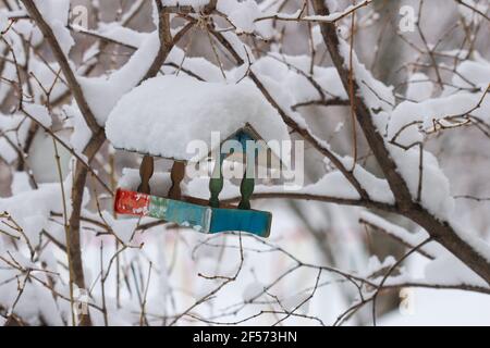 Alimentatore di uccelli coperto di neve appeso su un ramo Foto Stock