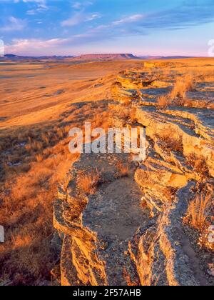 luce mattutina sulle scogliere dei primi popoli bufali salto stato parco (ex ulm pishkun) vicino ulm, montana Foto Stock