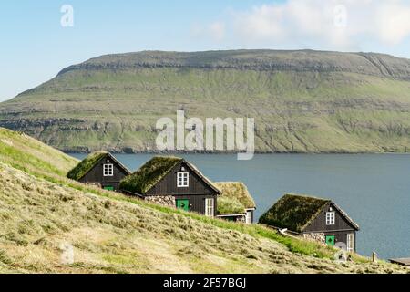 Pittoresca vista delle tradizionali case faroesi coperte di erba Foto Stock
