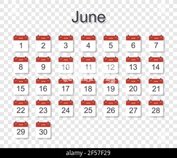 Modello di calendario mensile per giugno con data giornaliera. Su sfondo trasparente. Stile piatto. Illustrazione vettoriale. Illustrazione Vettoriale