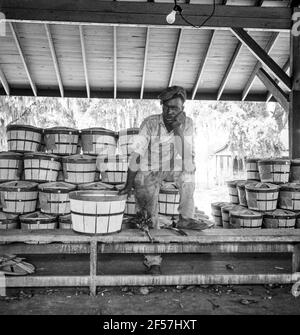 Lavoratore migrante capannone. Florida nord-orientale. Luglio 1936. Fotografia di Dorothea Lange. Foto Stock