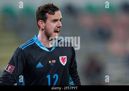 LEUVEN, BELGIO - MARZO 24: Danny Ward of Wales durante la Coppa del mondo FIFA 2022 Qatar Qualifier match tra Belgio e Galles a Den Dreef il 2 marzo Foto Stock