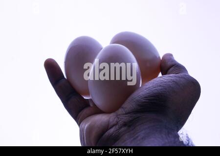 Mano maschio che tiene tre uova di pollo nel backgrou luminoso Foto Stock